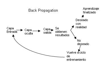 back prop